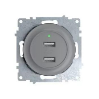 Розетка USB 2-м СП Florence 16А IP20 с подсветкой механизм сер. (1E10351302) OneKeyElectro 2260091 Розетка USB 2-м СП Florence 16А IP20 с подсветкой механизм сер. (1E10351302) OneKeyElectro 2260091