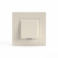 Вывод кабеля СП Pixel IP20 механизм беж. TOKOV ELECTRIC TKE-PX-CP-C02 Вывод кабеля СП Pixel IP20 механизм беж. TOKOV ELECTRIC TKE-PX-CP-C02