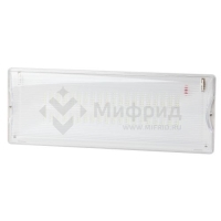 Светильник светодиодный DPA-301-0-65 IP65 40LED 3ч аварийный непостоянный Проектный Эра Б0044405