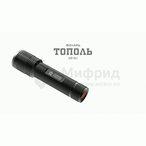 Фонарь светодиодный MB-901 АР "Тополь" 20Вт IPX6 регулир. фокус элементы питания 6хAA (не в комплекте) алюм. корич. Эра Б0030201