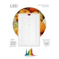 Панель светодиодная FITO-160W-LED-QB Quantum board 160Вт полноспектральная для растений IP65 Эра Б0057283 Панель светодиодная FITO-160W-LED-QB Quantum board 160Вт полноспектральная для растений IP65 Эра Б0057283