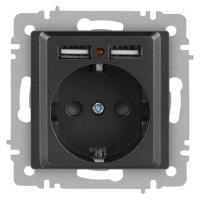Розетка 1-м СП Accent 6-410-07 16А IP20 250В P+E Schuko + 2хUSB защ. шторки графит Intro Б0063702