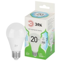 Лампа светодиодная GREEN LINE A60-20W-840-E27 GL 20Вт груша 4000К яркий свет бел. E27 Эра Б0067116 Лампа светодиодная GREEN LINE A60-20W-840-E27 GL 20Вт груша 4000К яркий свет бел. E27 Эра Б0067116