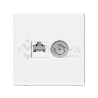 Розетка компьютерная + телевизионная 2-м СП ArtGallery RJ45 кат.5E + TV механизм лотос SE GAL001389