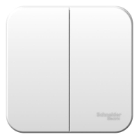 Выключатель 2-кл. ОП Blanca 6А IP20 (сх. 5) 250В с металлич. пластиной бел. SE BLNVA065021