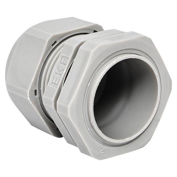 Сальник PG25 d16-21мм (d отверст. 31мм) IP54 (уп.2шт) PROxima EKF plc-pg-25-2-r