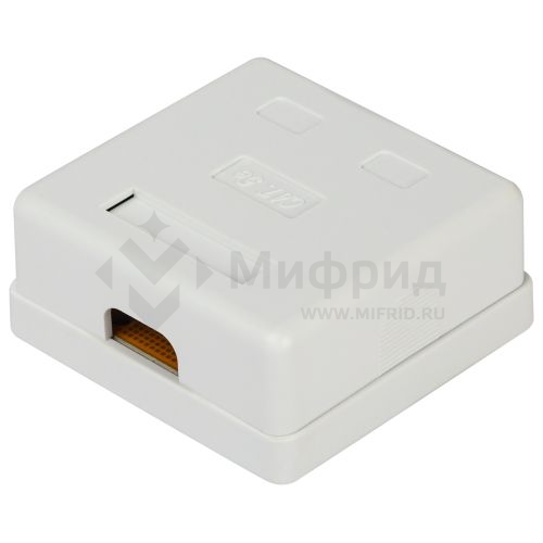Розетка компьютерная 2-м RJ45 кат.5E неэкранир. RJ02UN Эра Б0056902