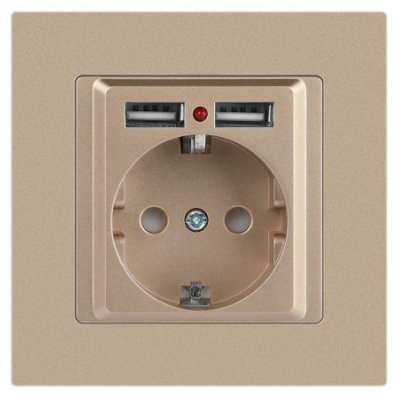 Розетка 1-м СП Accent 6-410-04 16А IP20 250В P+E Schuko + 2хUSB защ. шторки шампань Intro Б0063696 Розетка 1-м СП Accent 6-410-04 16А IP20 250В P+E Schuko + 2хUSB защ. шторки шампань Intro Б0063696