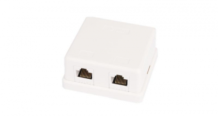 Розетка компьютерная 2-м ОП RJ45 (8P8C) кат.5E неэкранир. класс D 100МГц 110 T568A/B бел. (уп.10шт) NETLAN EC-UWO-2-UD2-WT-10 Розетка компьютерная 2-м ОП RJ45 (8P8C) кат.5E неэкранир. класс D 100МГц 110 T568A/B бел. (уп.10шт) NETLAN EC-UWO-2-UD2-WT-10