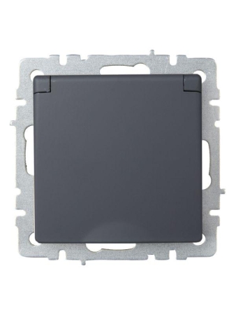 Розетка BRITE РСбш10-3-БрГ 16А IP20 с заземл. защ. шторки с крышкой механизм графит IEK BR-R16-16-K53 Розетка BRITE РСбш10-3-БрГ 16А IP20 с заземл. защ. шторки с крышкой механизм графит IEK BR-R16-16-K53