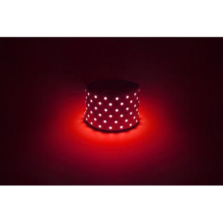 Лента светодиодная LS5050 -14.4-60-12-R-IP20-1 year-5m красн. (уп.5м) Эра Б0059919