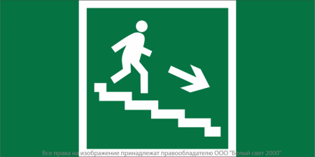 Знак безопасности NPU-2110.E13 "Направление к эвакуационному выходу по лестнице вниз (правосторонний)" Белый свет a11854
