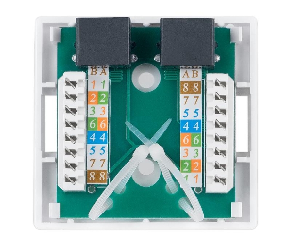 Розетка компьютерная 2-м ОП WS-8P8C-Cat.5e-2 RJ45 кат.5E Dual IDC Cabeus 7247c Розетка компьютерная 2-м ОП WS-8P8C-Cat.5e-2 RJ45 кат.5E Dual IDC Cabeus 7247c
