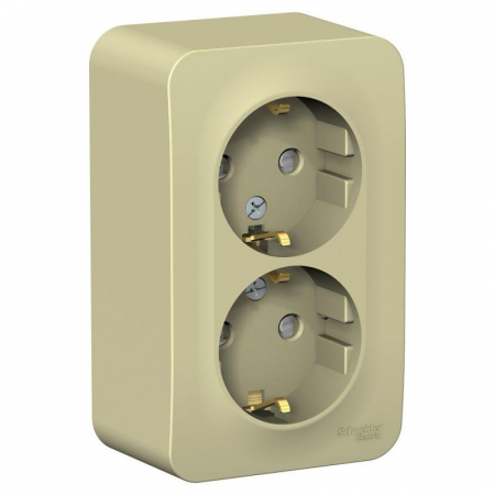 Розетка 2-м ОП Blanca 16А IP20 250В с заземл. защ. шторки с изолир. пластиной беж. SE BLNRA011217 Розетка 2-м ОП Blanca 16А IP20 250В с заземл. защ. шторки с изолир. пластиной беж. SE BLNRA011217