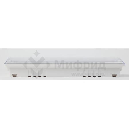 Светильник светодиодный DPA-301-0-65 IP65 40LED 3ч аварийный непостоянный Проектный Эра Б0044405