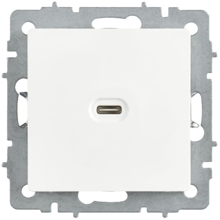 Розетка СП BRITE РЮ12-1-БрАБ USB C 65Вт высокоскор. заряд. арктич. бел. IEK BR-U13-065-K91