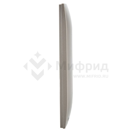 Рамка 1-м SKANDY SK-F01Sh шампань IEK SK-M12-K37