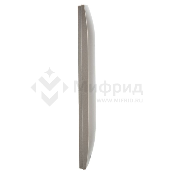 Рамка 1-м SKANDY SK-F01Sh шампань IEK SK-M12-K37