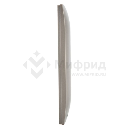Рамка 2-м SKANDY SK-F02Sh шампань IEK SK-M22-K37