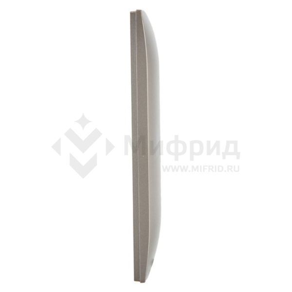 Рамка 2-м SKANDY SK-F02Sh шампань IEK SK-M22-K37