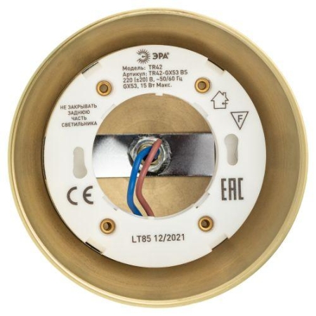 Светильник трековый TR42-GX53 BS 1ф под лампу GX53 латунь Эра Б0054180