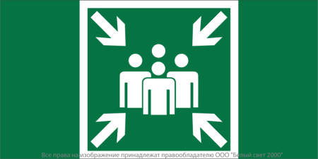 Знак безопасности BL-3517.E21 "Пункт (место) сбора" Белый свет a20061