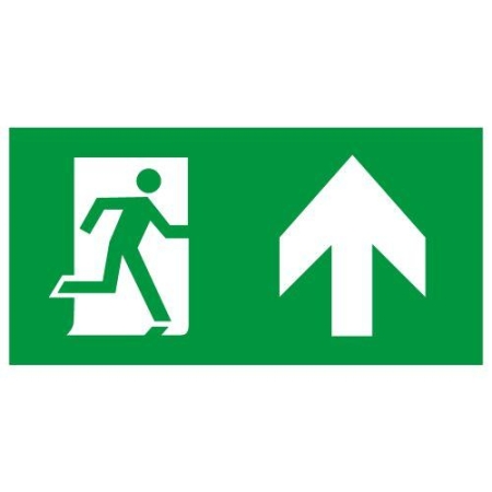 Этикетка самоклеящаяся INFO-SSA-127 бэклит 259х135мм Человек-стрелка-вверх зел. SSA-103 ЭРА Б0064714