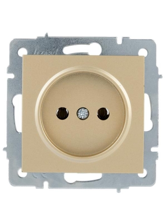 Розетка VESNA без заземл. ПБТ зол. LEZARD 742-3688-121B Розетка VESNA без заземл. ПБТ зол. LEZARD 742-3688-121B