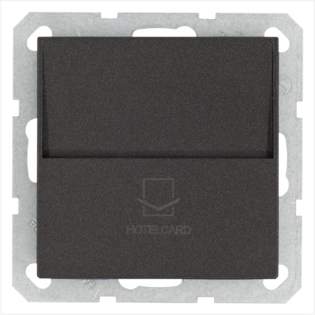 Выключатель карточный 10А IP20 отельный механизм антрацит Jasmart G6209B Выключатель карточный 10А IP20 отельный механизм антрацит Jasmart G6209B