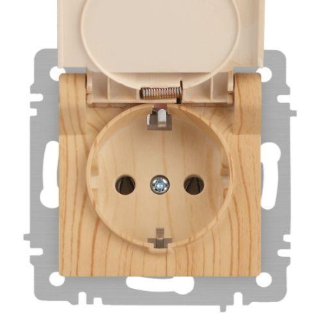 Розетка 1-м СП Accent 6-203-11 16А IP20 250В 2P+E Schuko с крышкой AL/CU сосна Intro Б0063479 Розетка 1-м СП Accent 6-203-11 16А IP20 250В 2P+E Schuko с крышкой AL/CU сосна Intro Б0063479
