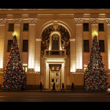 Фигура елочная "Шар" 20см IP65 матов. красн. Neon-Night 502-252