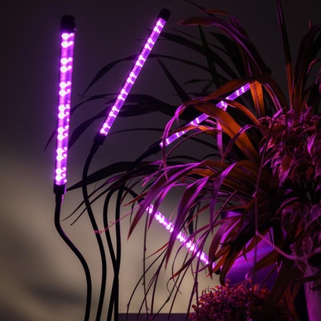 Светильник светодиодный "КРИСТАЛЛ" CTL2-USB-bl Agro 4х10Вт IP40 для растений спектр 4 плафона на прищепке пульт на шнуре красн./син. ФАZА 5068810