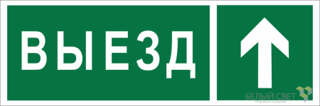 Знак безопасности BL-6020B.N06 "Направление к воротам выезда прямо" Белый свет a22449