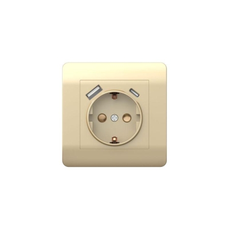 Розетка NEW3-E 16А с заземл. защ. шторки с 2-мя заряд. устройствами USB A+C 5В/2.1А шампань CHINT 431453 Розетка NEW3-E 16А с заземл. защ. шторки с 2-мя заряд. устройствами USB A+C 5В/2.1А шампань CHINT 431453