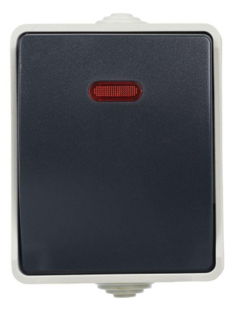 Выключатель проходной 1-кл. ОП Форс 10А IP54 ВС20-1-1-ФСр с индикацией сер. IEK EVS11-K03-10-54-DC