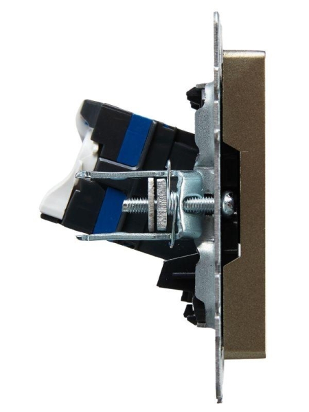 Розетка компьютерная СП RJ45 кат.6 BRITE РК11-БрШ механизм шампань IEK BR-K10-2-K37 Розетка компьютерная СП RJ45 кат.6 BRITE РК11-БрШ механизм шампань IEK BR-K10-2-K37