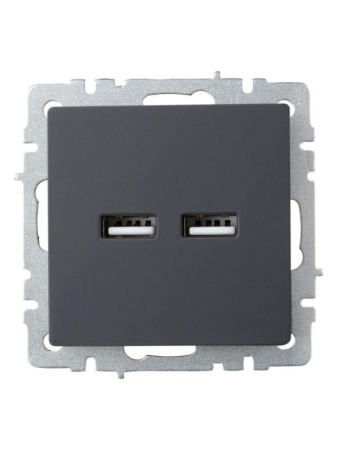 Розетка BRITE USB A+A 3.1А РЮ10-1-БрГ механизм графит IEK BR-U21-D31-K53 Розетка BRITE USB A+A 3.1А РЮ10-1-БрГ механизм графит IEK BR-U21-D31-K53