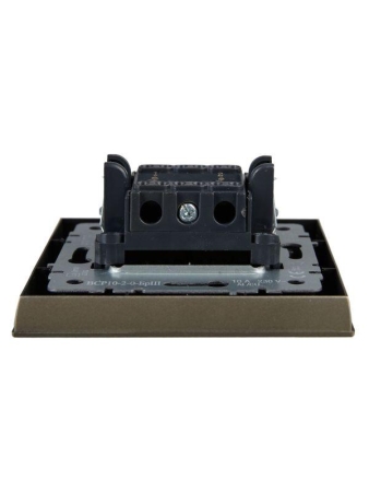 Выключатель 2-кл. СП BRITE ВСР10-2-0-БрШ 10А в сборе шампань IEK BR-V20-0-10-K37-F