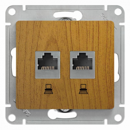 Розетка компьютерная 2-м Glossa RJ45 кат.5E механизм дуб SE GSL000585KK Розетка компьютерная 2-м Glossa RJ45 кат.5E механизм дуб SE GSL000585KK