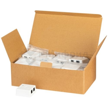 Розетка компьютерная 2-м RJ45 кат.5E неэкранир. RJ02UN Эра Б0056902