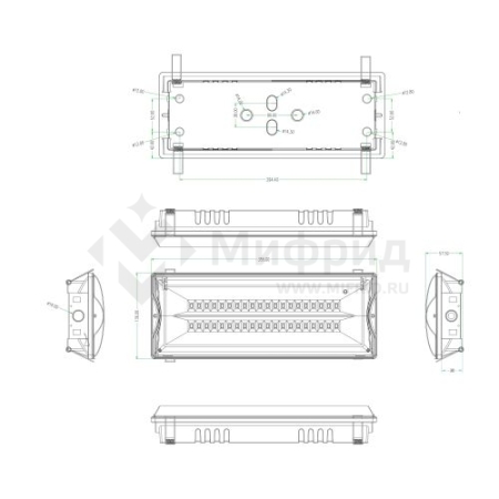 Светильник светодиодный DPA-301-0-65 IP65 40LED 3ч аварийный непостоянный Проектный Эра Б0044405