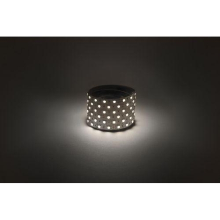 Лента светодиодная LS5050 14.4-60-12-4000K-IP20-1 year-5m нейтр. бел. (уп.5м) Эра Б0053973