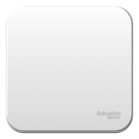 Выключатель 1-кл. ОП Blanca 6А IP20 (сх. 1) 250В с металлич. пластиной бел. SE BLNVA061021