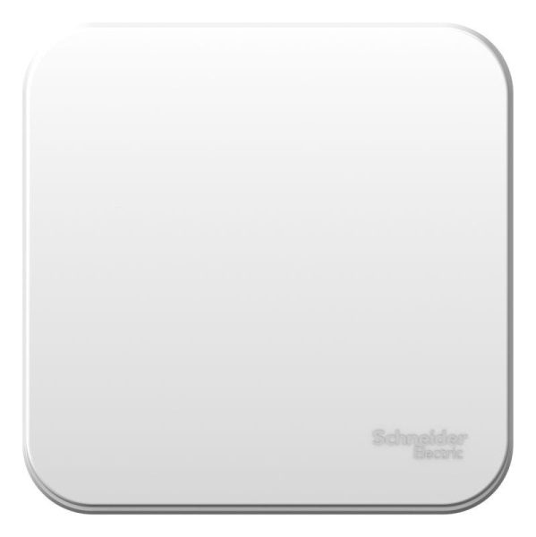 Выключатель 1-кл. ОП Blanca 6А IP20 (сх. 1) 250В с металлич. пластиной бел. SE BLNVA061021