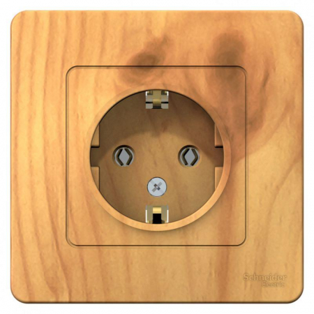 Розетка 1-м СП Blanca 16А IP20 250В с заземл. без защ. шторок ясень SE BLNRS001015 Розетка 1-м СП Blanca 16А IP20 250В с заземл. без защ. шторок ясень SE BLNRS001015