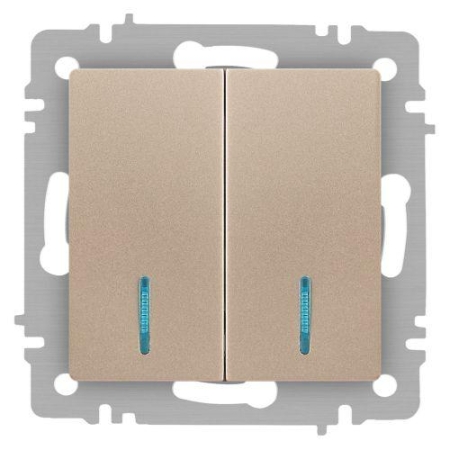 Выключатель 2-кл. СП Accent 6-105-04 10А IP20 250В с подсветкой AL/CU шампань Intro Б0063513