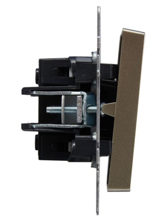 Выключатель 2-кл. СП BRITE ВС10-2-1-БрШ 10А с индик. механизм шампань IEK BR-V20-1-10-K37