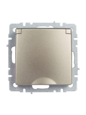 Розетка BRITE РСбш10-3-44-БрШ 16А IP44 с заземл. защ. шторки с крышкой механизм шампань IEK BR-R16-16-44-K37 Розетка BRITE РСбш10-3-44-БрШ 16А IP44 с заземл. защ. шторки с крышкой механизм шампань IEK BR-R16-16-44-K37