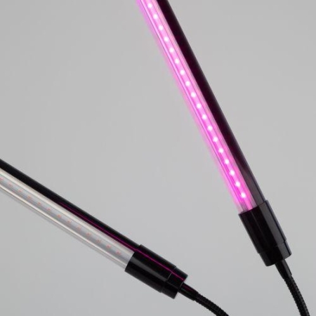 Светильник светодиодный FITO-20W-АLED-N 12Вт для растений красн./син. спектр на прищепке черн. Эра Б0053059