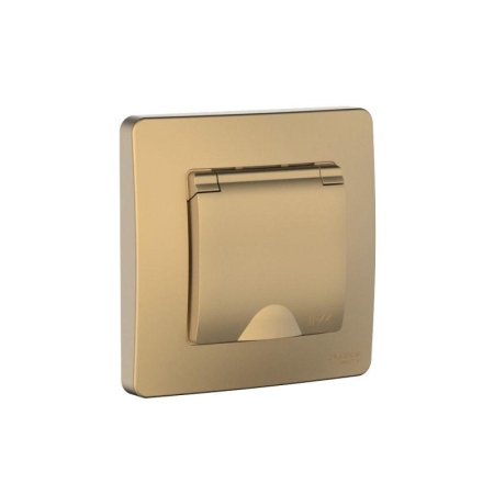 Розетка 1-м СП Blanca 16А IP44 250В с заземл. защ. шторки с крышкой титан SE BLNRS441114 Розетка 1-м СП Blanca 16А IP44 250В с заземл. защ. шторки с крышкой титан SE BLNRS441114